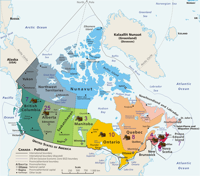Locations of registered degus in Canada