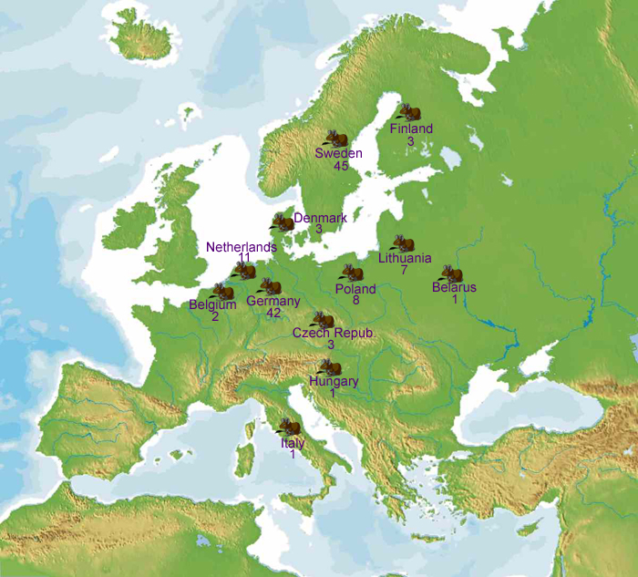 Locations of registered degus in Europe