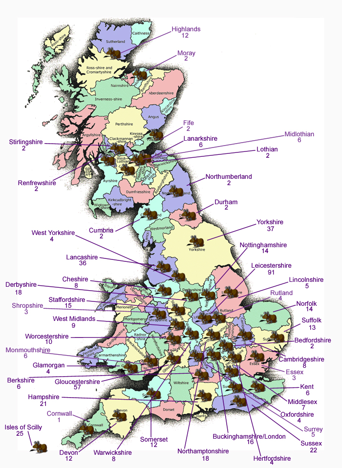 Locations of registered degus in the UK
