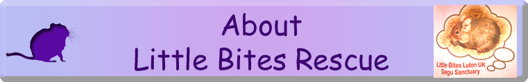 About Little Bites Rescue