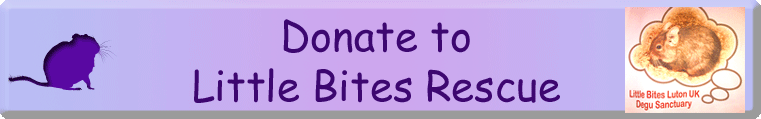 Donate to Little Bites Rescue